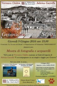 Genova tra Scatti e Gatti